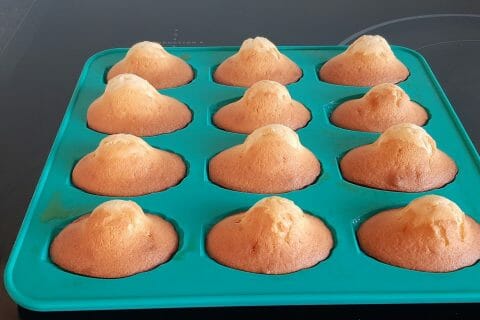 Cliquez pour zoomer ! Madeleines Thermomix par sylviev18