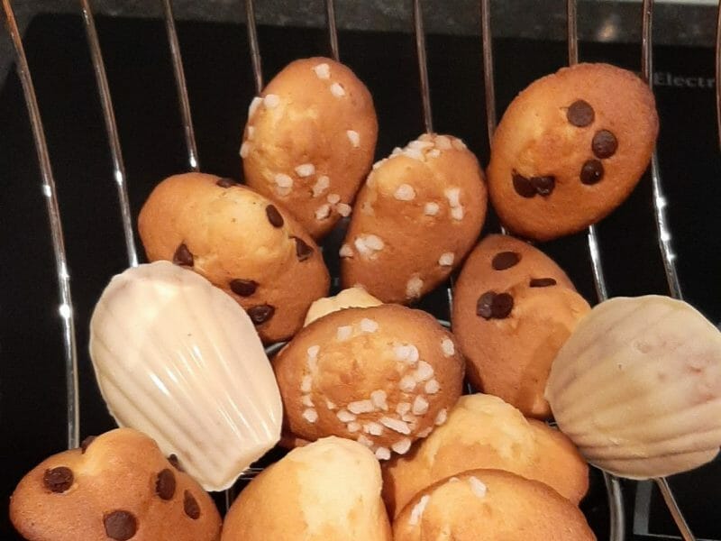 Cliquez pour zoomer ! Madeleines Thermomix par sylviev18