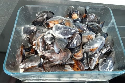 Cliquez pour zoomer ! Moules marinières Thermomix par sylviev18