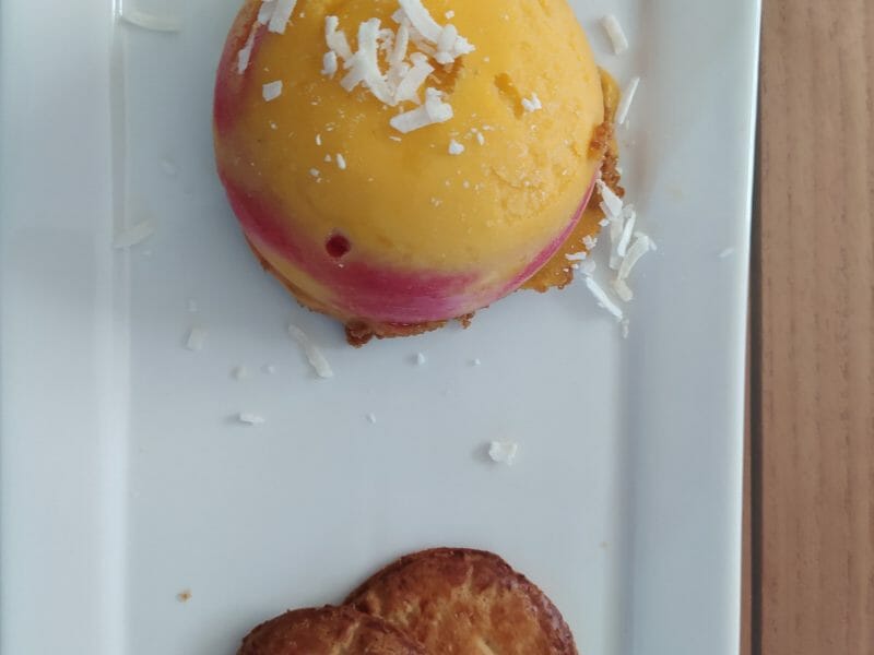 Cliquez pour zoomer ! Bûche glacée mangue et framboise Thermomix par Mickaline