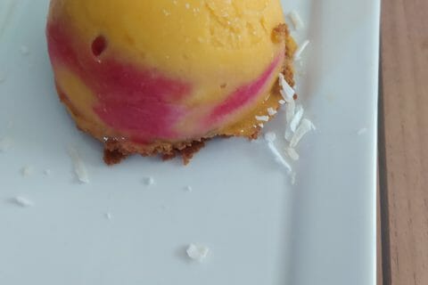 Cliquez pour zoomer ! Bûche glacée mangue et framboise Thermomix par Mickaline