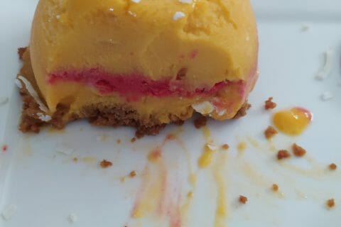 Cliquez pour zoomer ! Bûche glacée mangue et framboise Thermomix par Mickaline