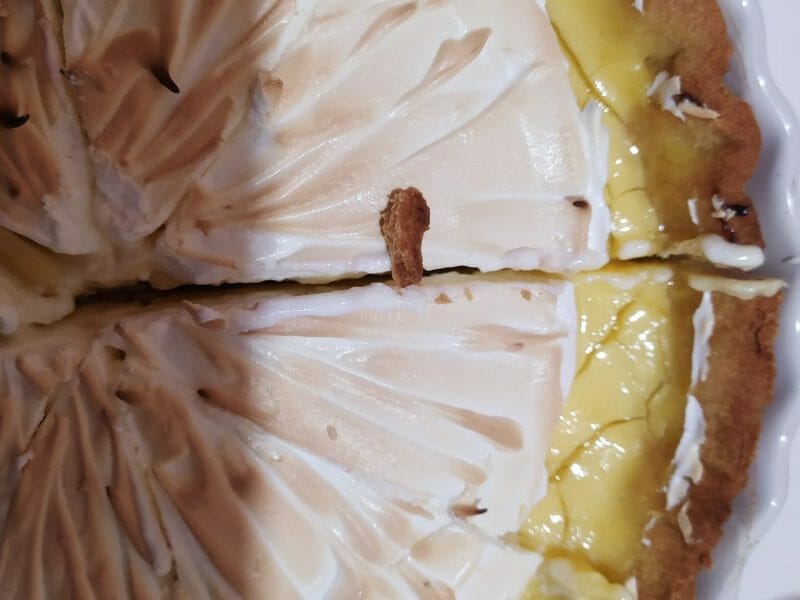 Cliquez pour zoomer ! Tarte au citron Thermomix par Mickaline