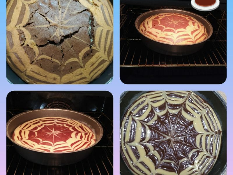 Cliquez pour zoomer ! Gâteau zébré Thermomix par Mickaline