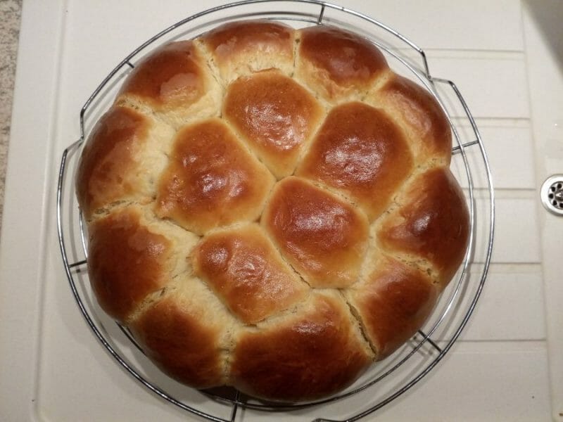 Cliquez pour zoomer ! Brioche Buchty Thermomix par MLKE