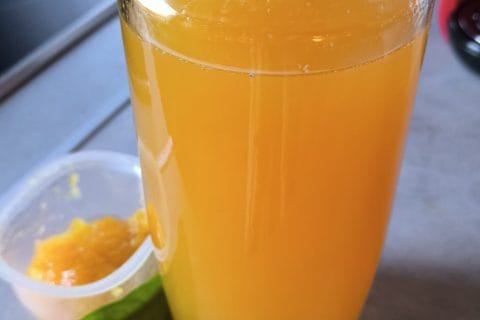 Cliquez pour zoomer ! Sirop de citron Thermomix par fealya