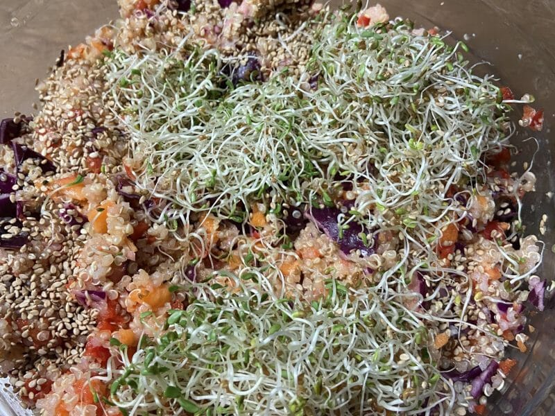 Cliquez pour zoomer ! Salade Thaï de quinoa Thermomix par paul-antoine