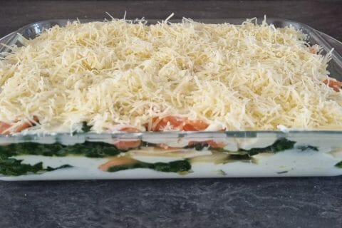 Cliquez pour zoomer ! Lasagnes au saumon et aux épinards Thermomix par plantes35