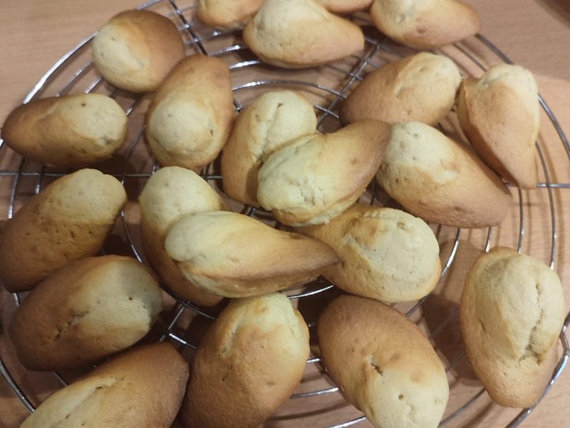 Cliquez pour zoomer ! Madeleines Thermomix par saloua1806