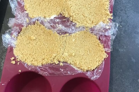 Cliquez pour zoomer ! Cheesecake au saumon sans cuisson Thermomix par Corinee