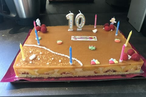 Cliquez pour zoomer ! Bavarois à l’abricot Thermomix par Corinee