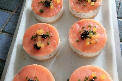 Cliquez pour zoomer ! Cheesecake au saumon sans cuisson au Thermomix