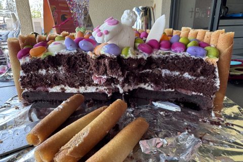 Cliquez pour zoomer ! Gâteau lapin de Pâques Thermomix par mihaela_6