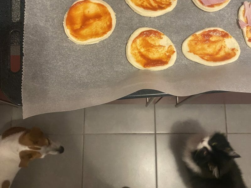 Cliquez pour zoomer ! Pizzette Thermomix par vivi31410