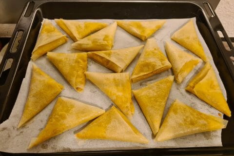 Cliquez pour zoomer ! Samoussas de légumes Thermomix par rico34