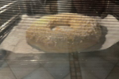 Cliquez pour zoomer ! Couronne des rois Thermomix par karinejuma