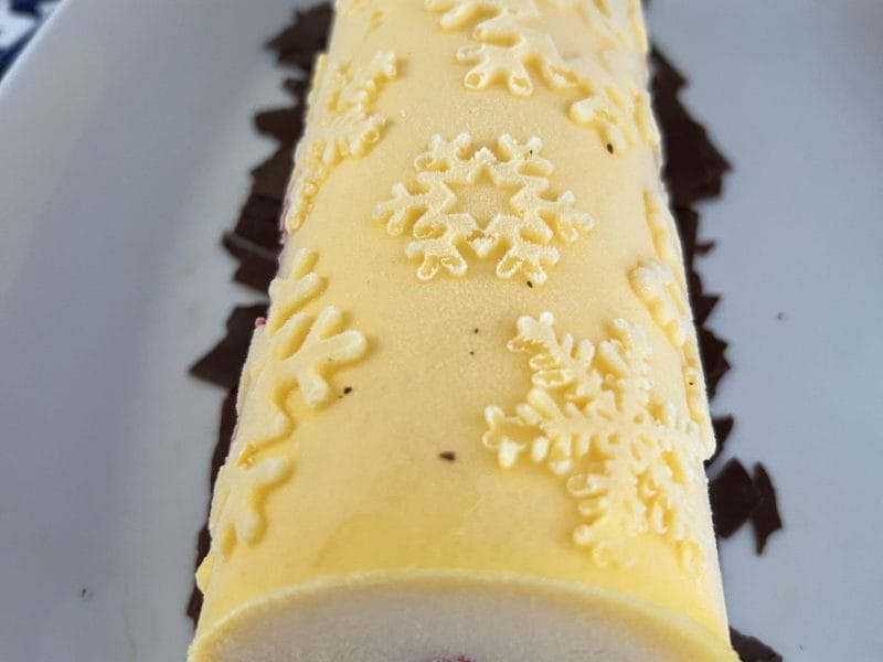 Cliquez pour zoomer ! Bûche glacée mangue et framboise Thermomix par catherinebosler