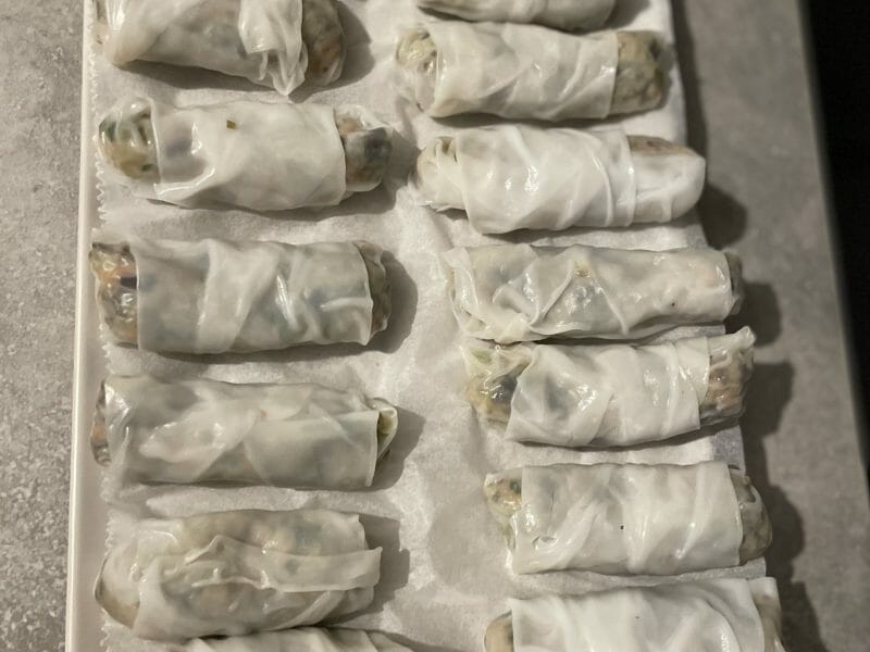 Cliquez pour zoomer ! Nems au poulet Thermomix par chacha_rez