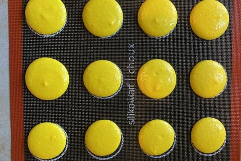 Cliquez pour zoomer ! Macarons Thermomix par oumsoulay