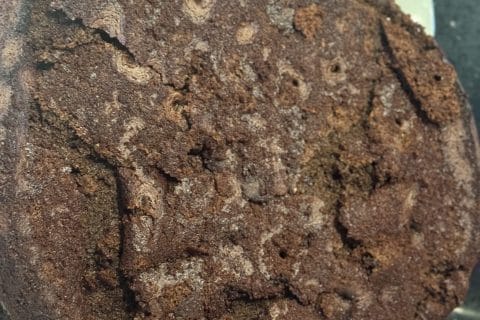 Cliquez pour zoomer ! Gâteau au chocolat et courgettes Thermomix par petrojessie