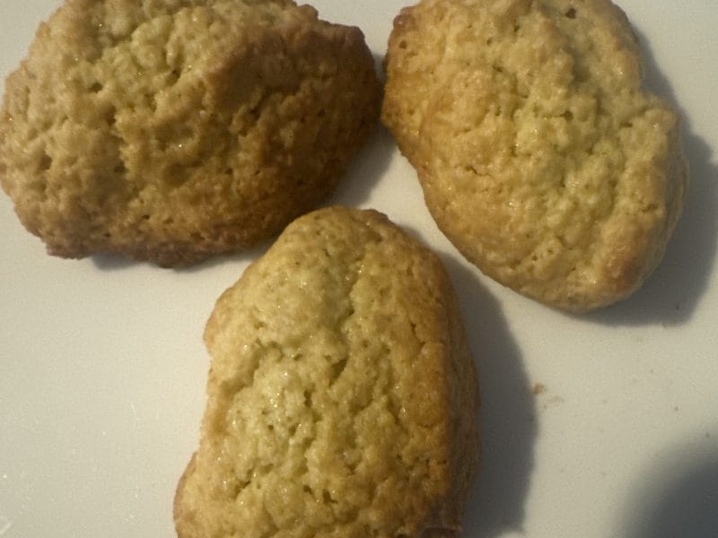 Cliquez pour zoomer ! Biscuits aux flocons d’avoine et amandes Thermomix par petrojessie