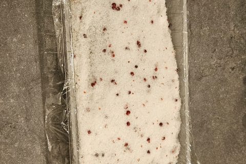 Cliquez pour zoomer ! Saumon gravlax Thermomix par tefstof