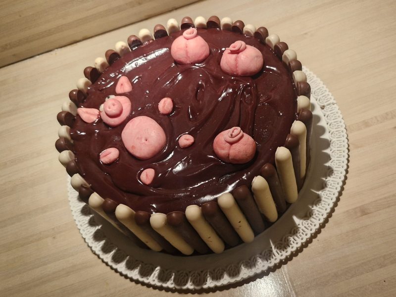 Cliquez pour zoomer ! La mare aux cochons Thermomix par zaza55000