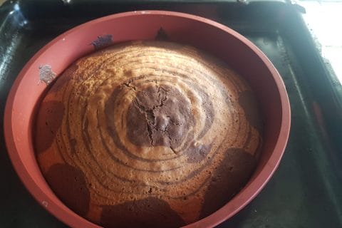Cliquez pour zoomer ! Gâteau zébré Thermomix par olivier1964