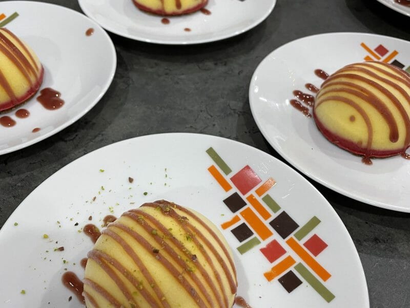 Cliquez pour zoomer ! Bûche glacée mangue et framboise Thermomix par chalimart51