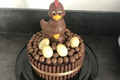 Cliquez pour zoomer ! Gâteau lapin de Pâques Thermomix par chalimart51