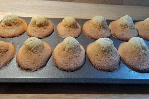 Cliquez pour zoomer ! Madeleines Thermomix par histoires25