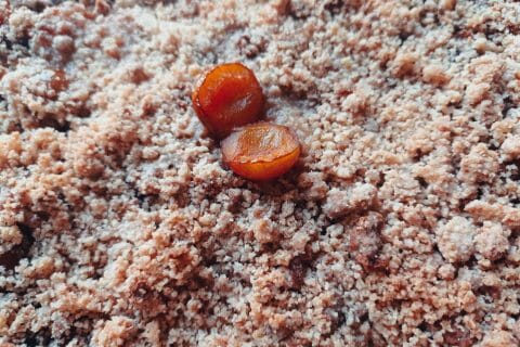 Cliquez pour zoomer ! Crumble aux mirabelles Thermomix par carambar10