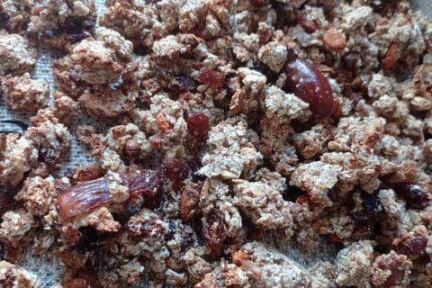 Cliquez pour zoomer ! Granola dattes et banane Thermomix par carambar10