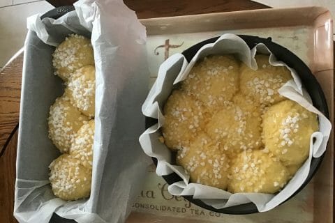 Cliquez pour zoomer ! Brioche Buchty Thermomix par Ribella