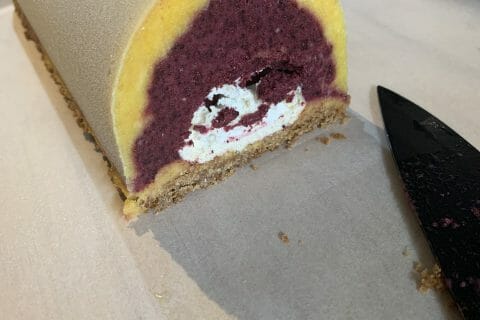 Cliquez pour zoomer ! Bûche glacée mangue et framboise Thermomix par amandine_675