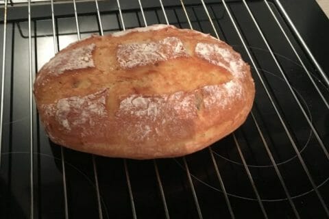 Cliquez pour zoomer ! Pain Cocotte Thermomix par Mellard