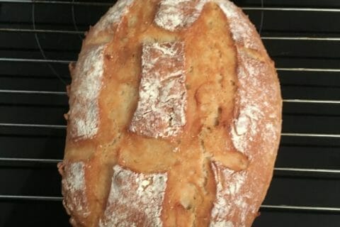 Cliquez pour zoomer ! Pain Cocotte Thermomix par Mellard