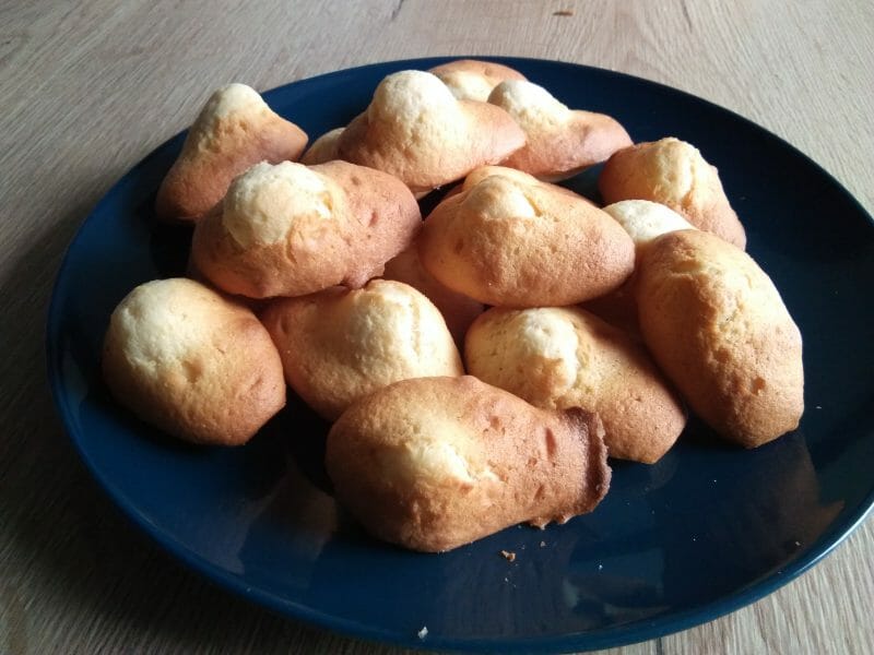 Cliquez pour zoomer ! Madeleines Thermomix par delphinebarthelemy