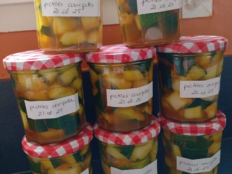 Cliquez pour zoomer ! Photo de mandinette19 Thermomix par mandinette19