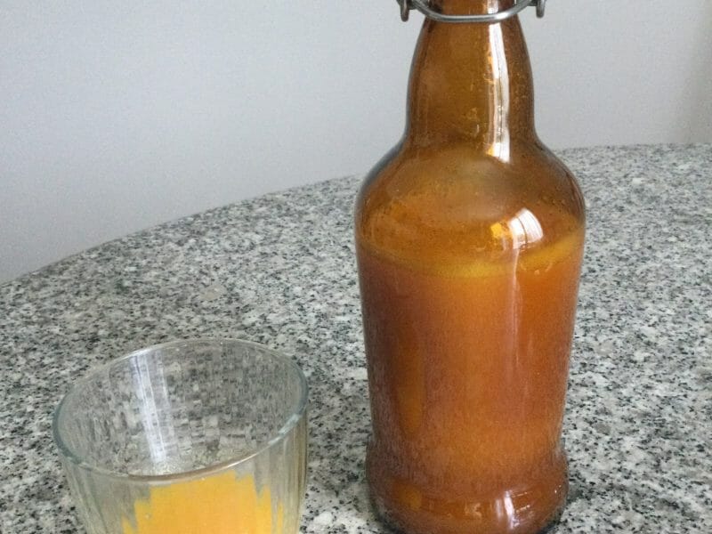 Cliquez pour zoomer ! Shot gingembre orange Thermomix par Mamouchki