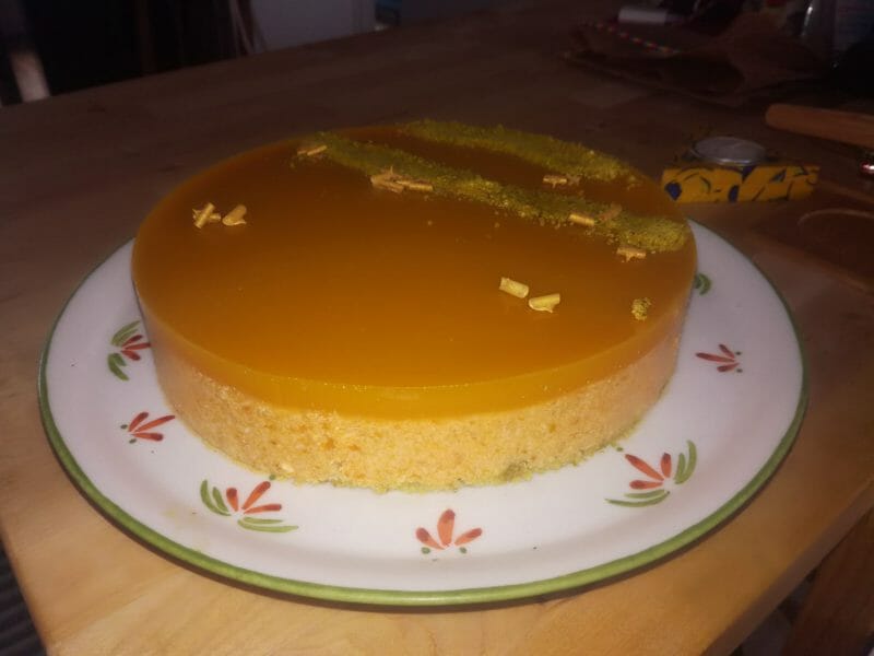 Cliquez pour zoomer ! Bavarois à l’abricot Thermomix par ocelotr