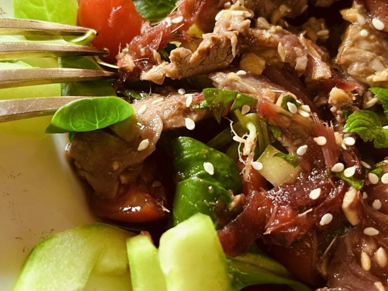 Cliquez pour zoomer ! Salade thaï au boeuf Thermomix par natcgn