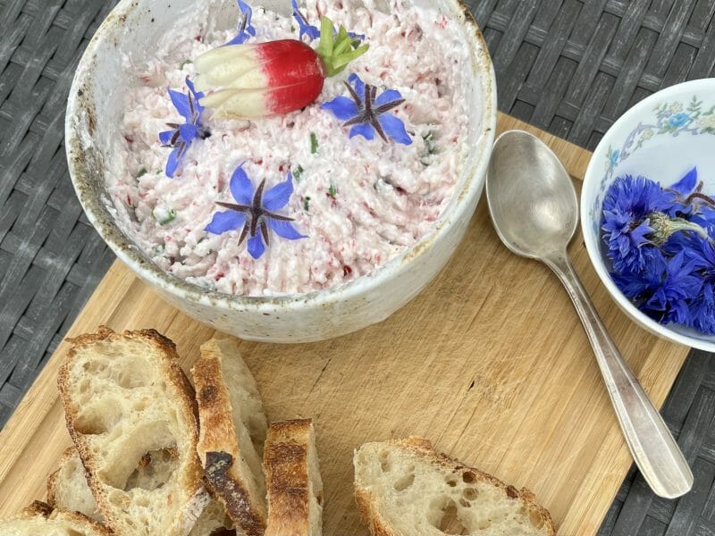 Cliquez pour zoomer ! Rillettes de radis roses au cheese cream Thermomix par natcgn