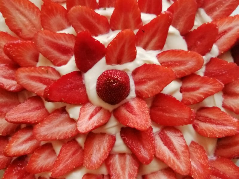 Cliquez pour zoomer ! Tarte aux fraises sans cuisson Thermomix par Chnibette