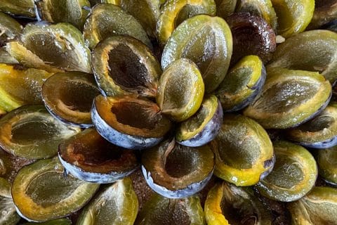 Cliquez pour zoomer ! Tarte aux quetsches Thermomix par Alev