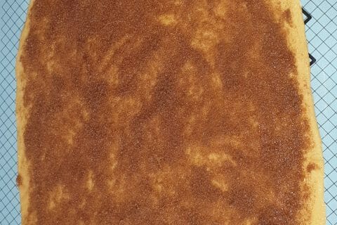 Cliquez pour zoomer ! Brioche à effeuiller à la cannelle Thermomix par Chouchou49