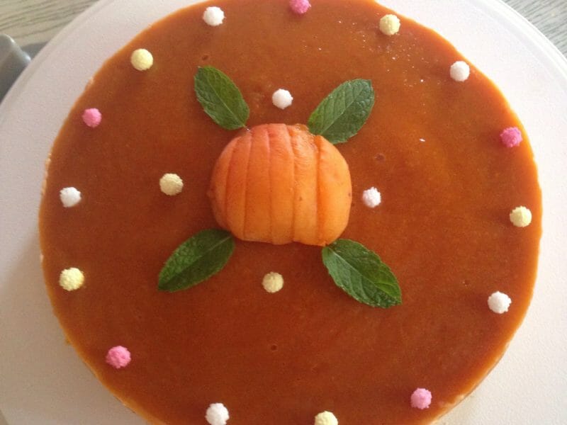 Cliquez pour zoomer ! Bavarois à l’abricot Thermomix par Mamymoune