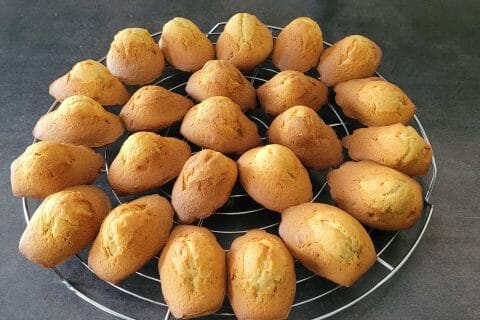 Cliquez pour zoomer ! Madeleines Thermomix par mininad74