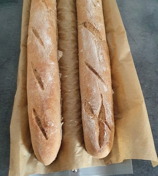 Cliquez pour zoomer ! Baguettes Thermomix par prissou29