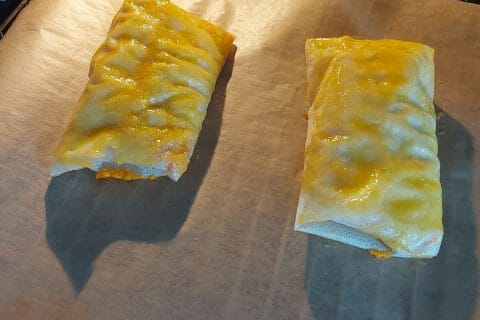Cliquez pour zoomer ! Brick de saumon et poireaux Thermomix par Polyne_59 🌸